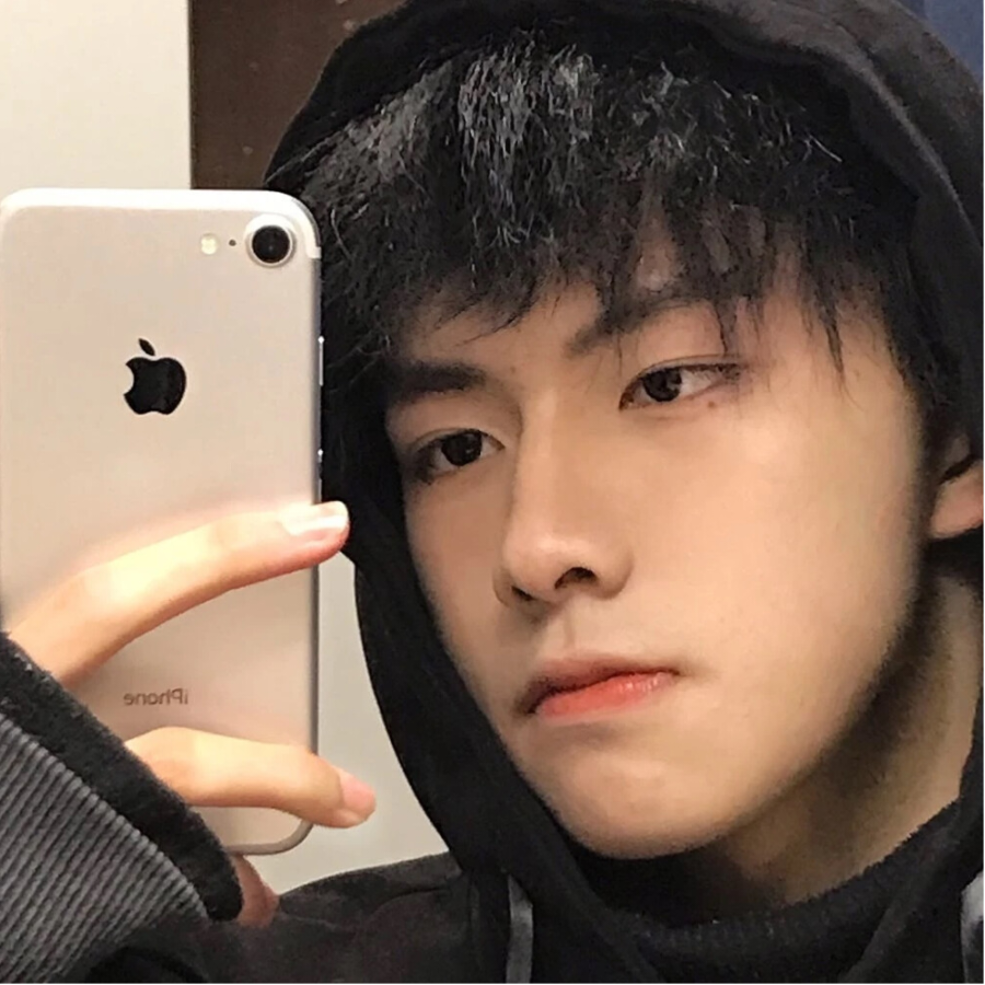 仄言