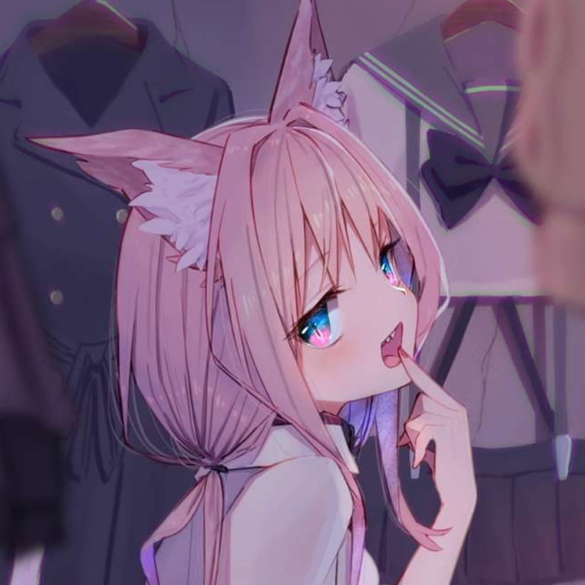 skr家