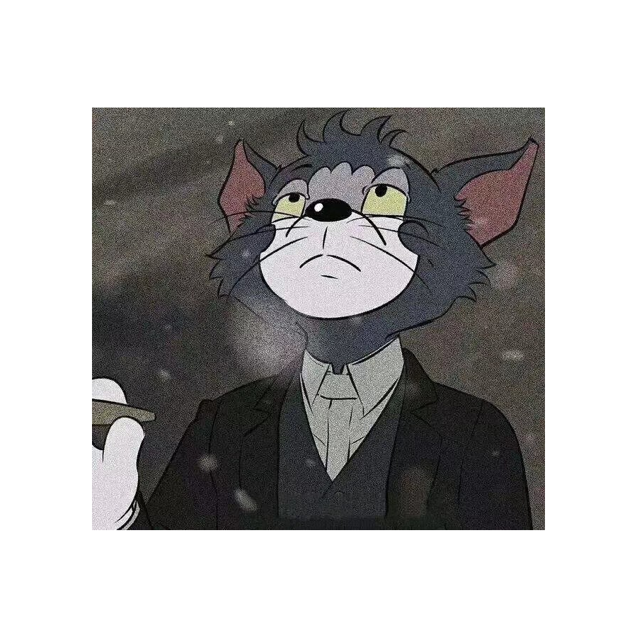 心狠手辣汤姆猫
