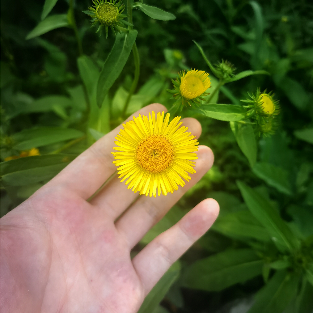然然的小哥哥❤️