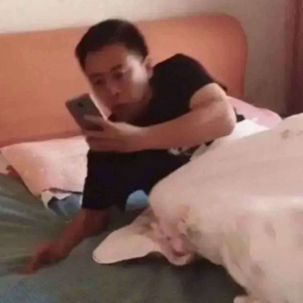 小飞雷来喽