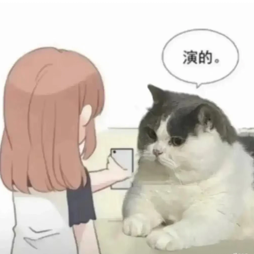 乐樵苏
