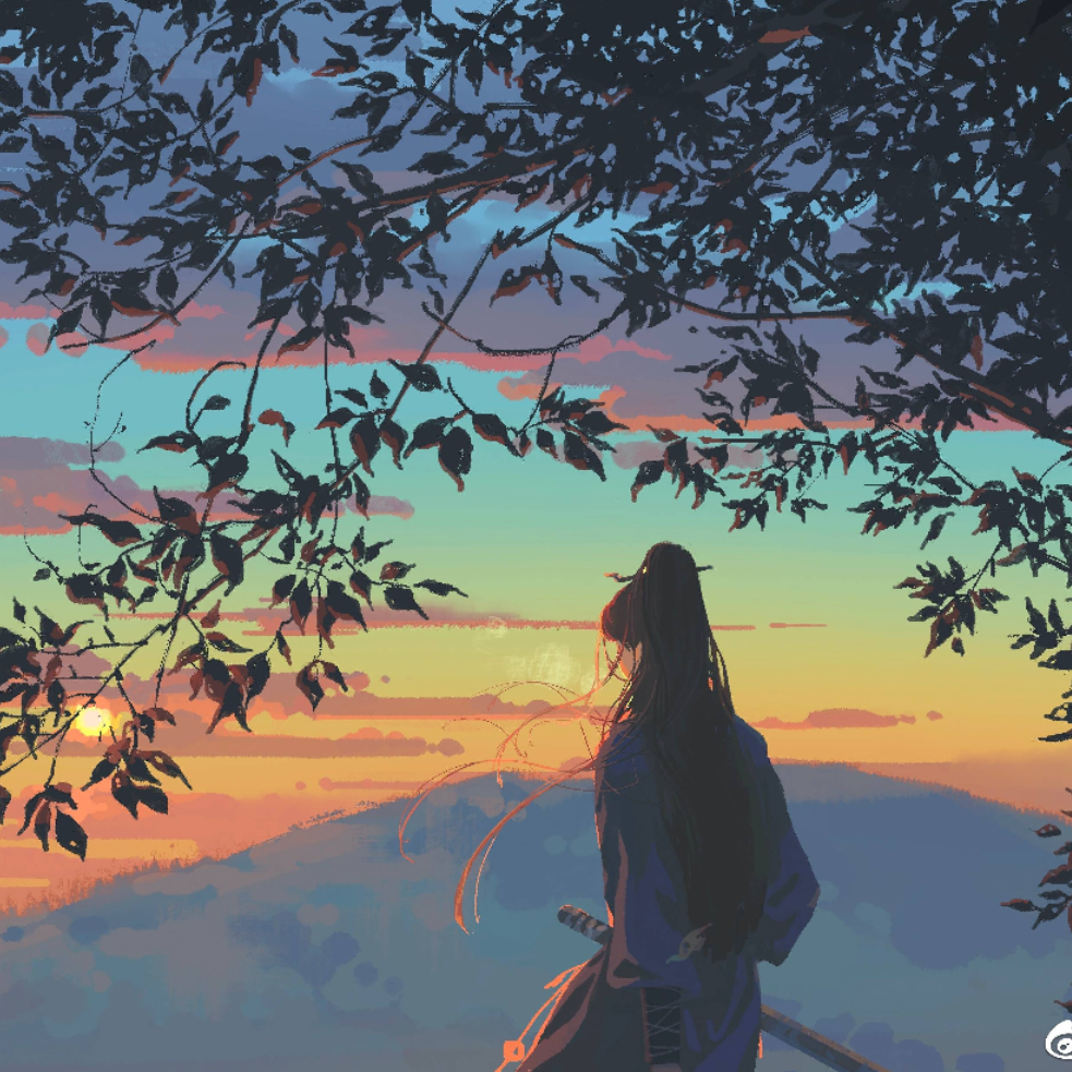 会飞的羽毛