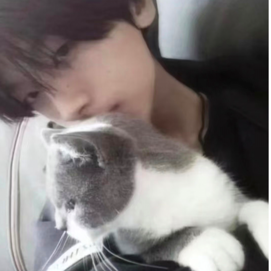我的猫不爱我