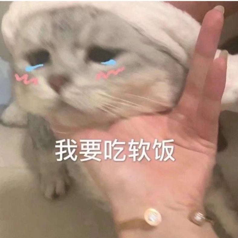 快乐的小羊毛
