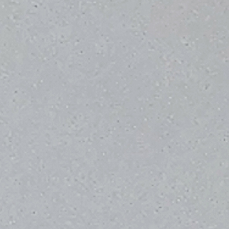 迷雾中的阴影