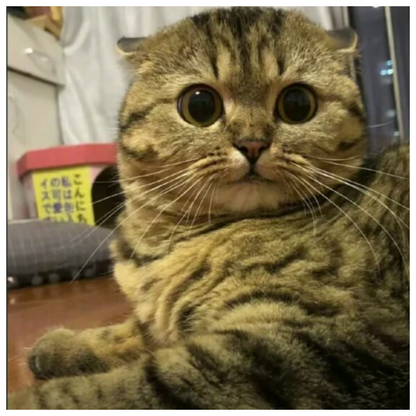 怎一个帅字了得