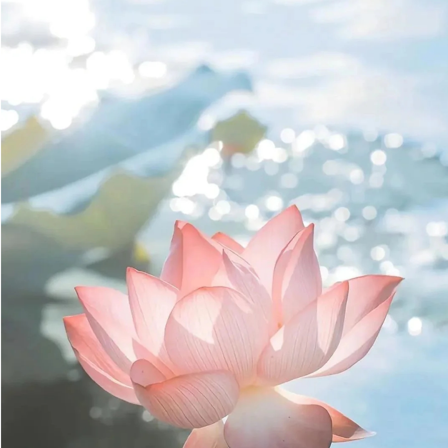 选我
