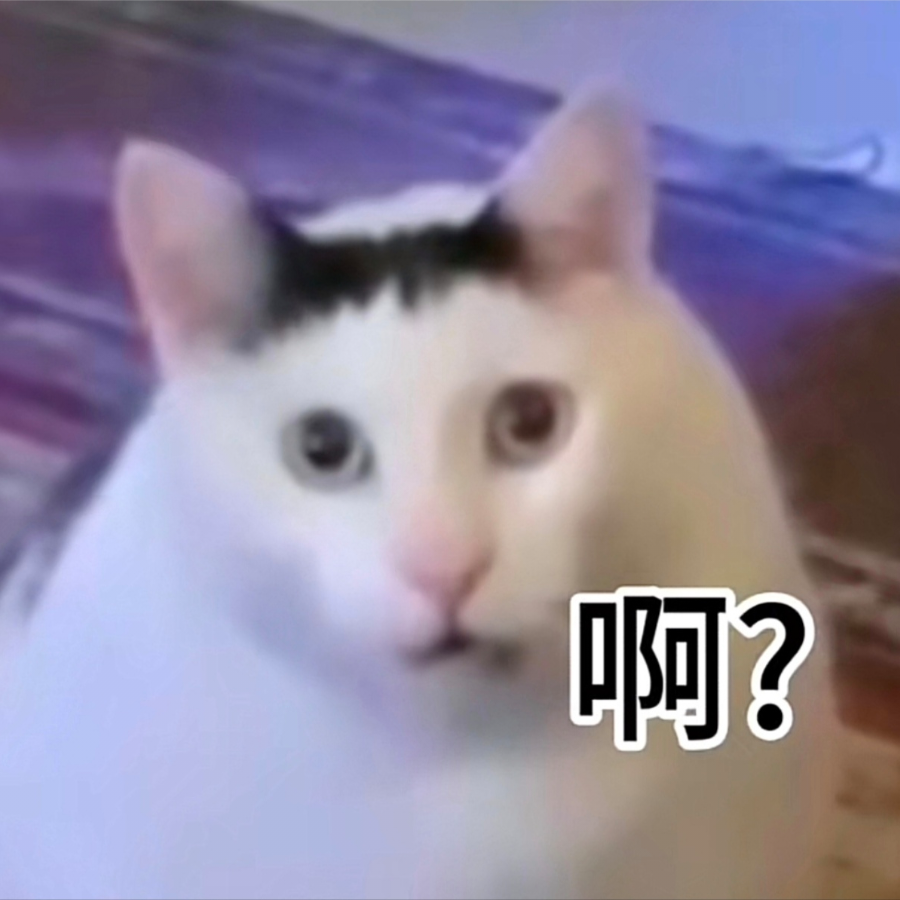 诚实小郎君