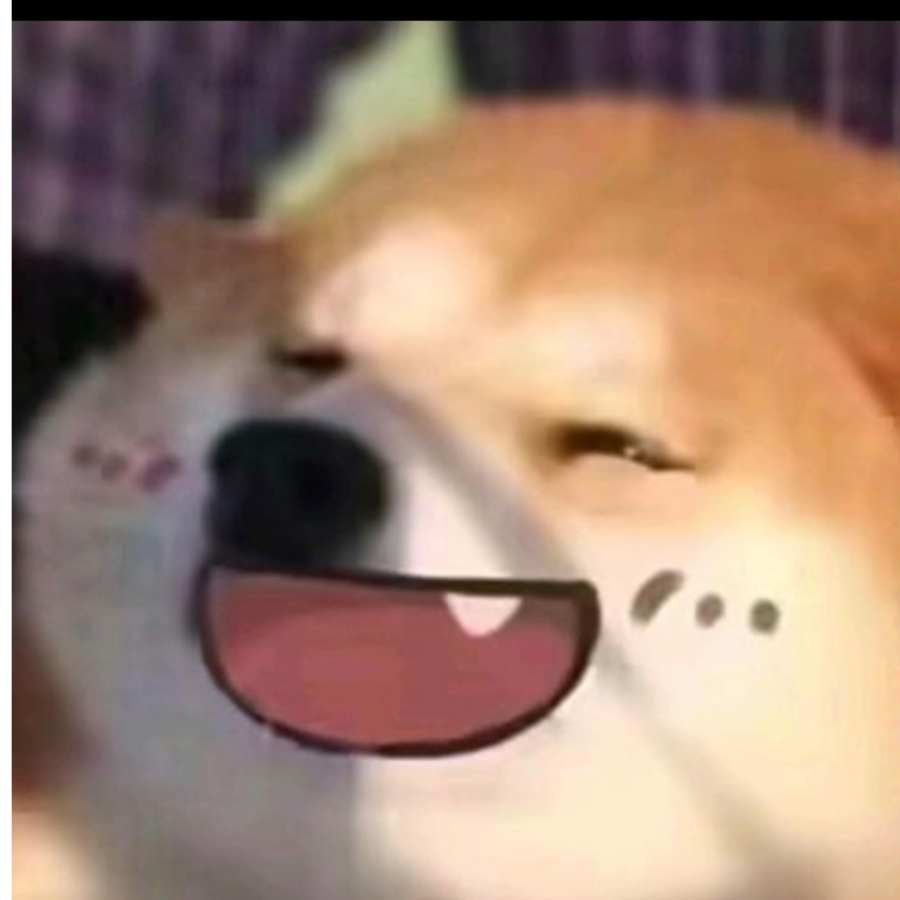 睛不雨