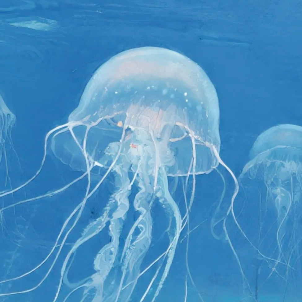 Jellyfish