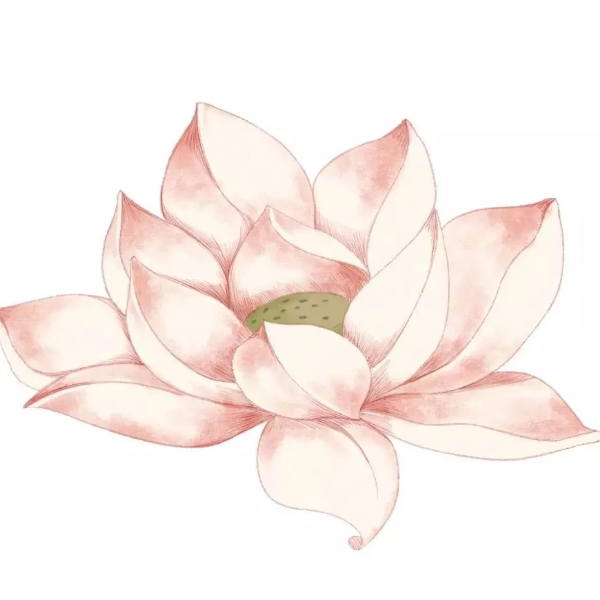 星光