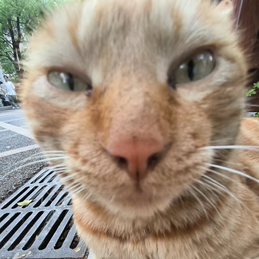 紳临
