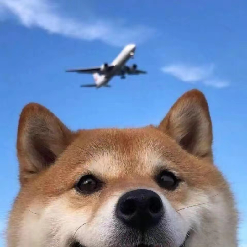 Xxs