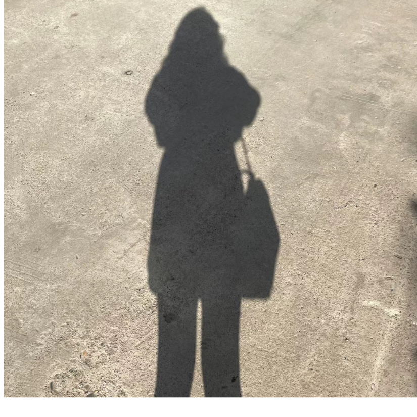西风煭