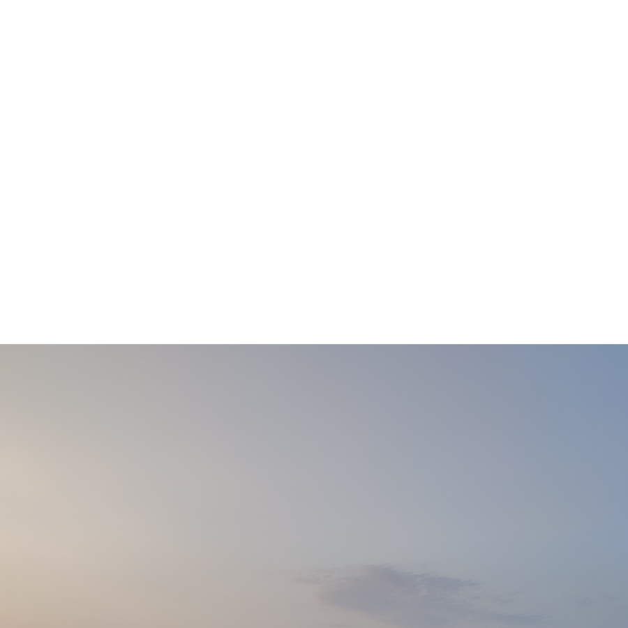 没有