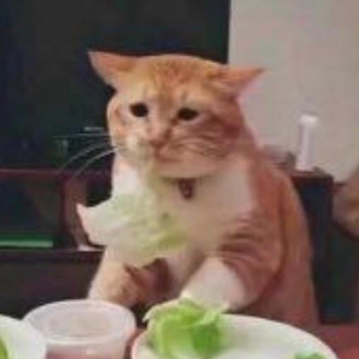 扇子