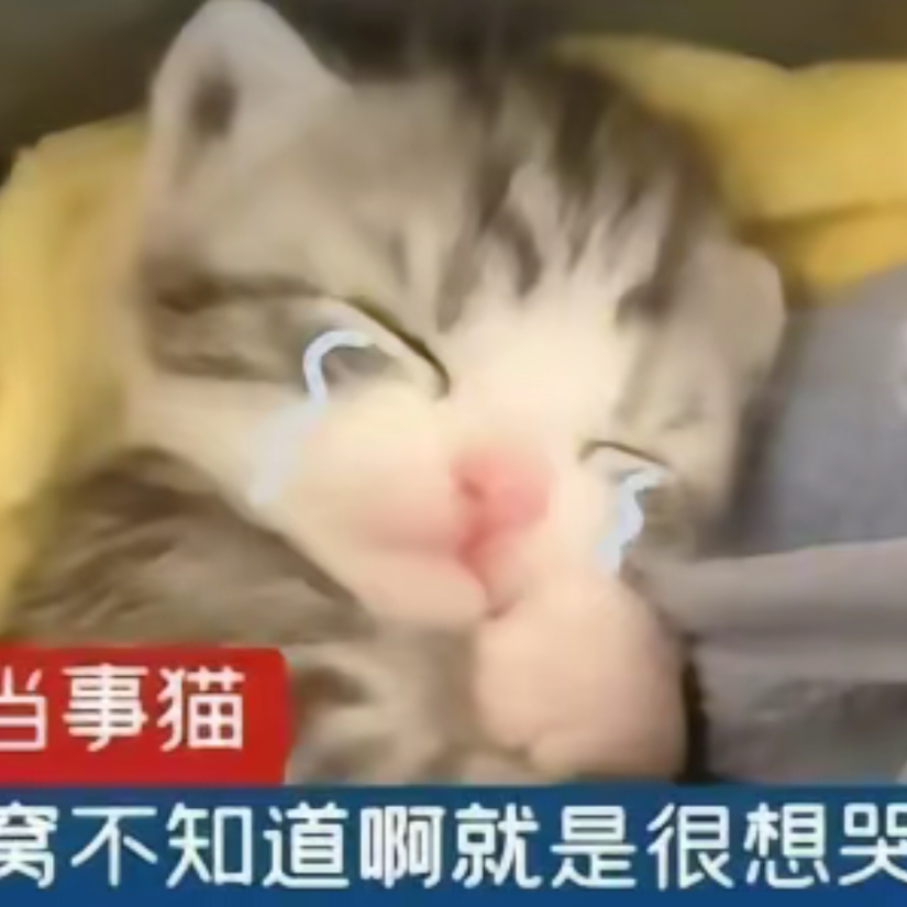 少宅喵