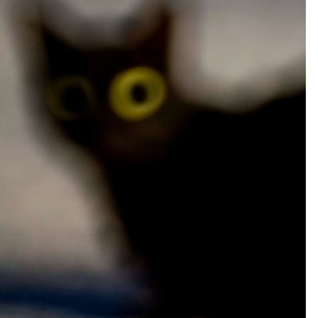辞