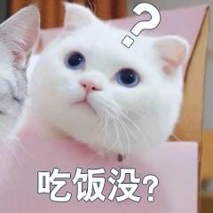 铁蛋
