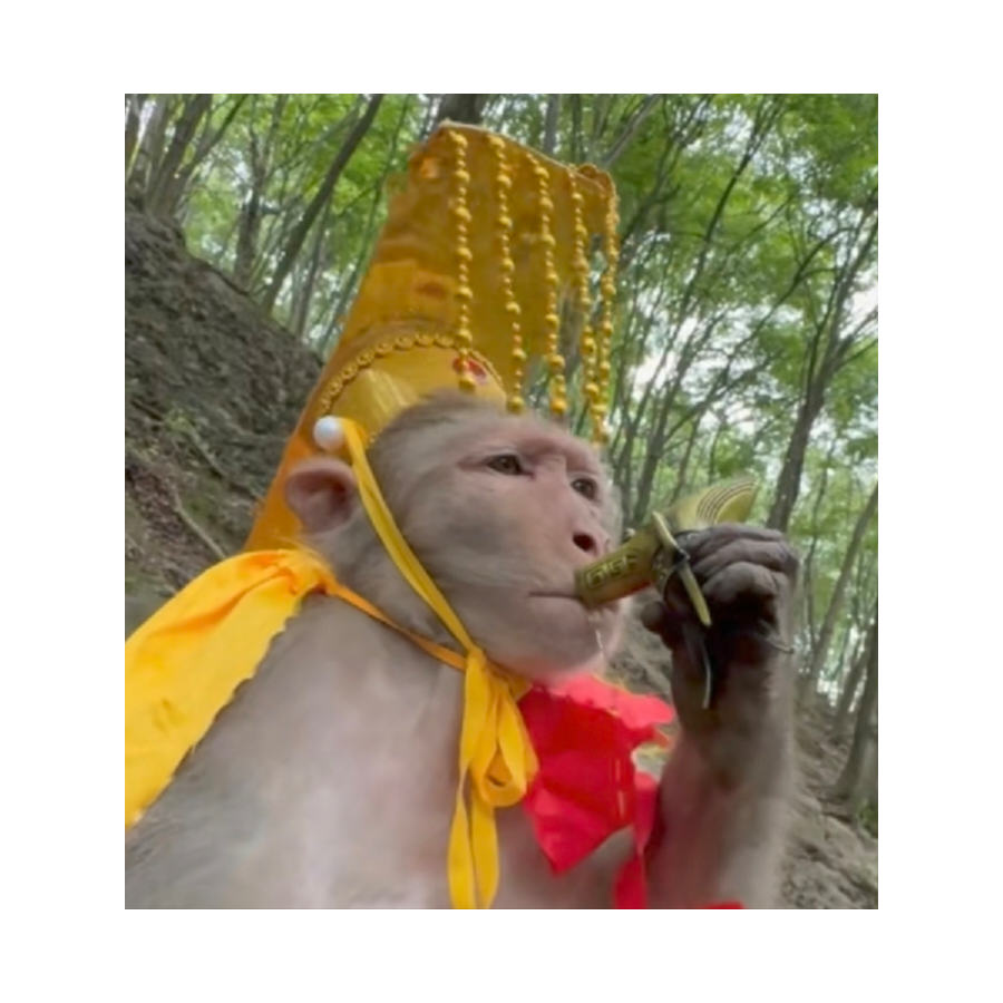 阿巴阿巴