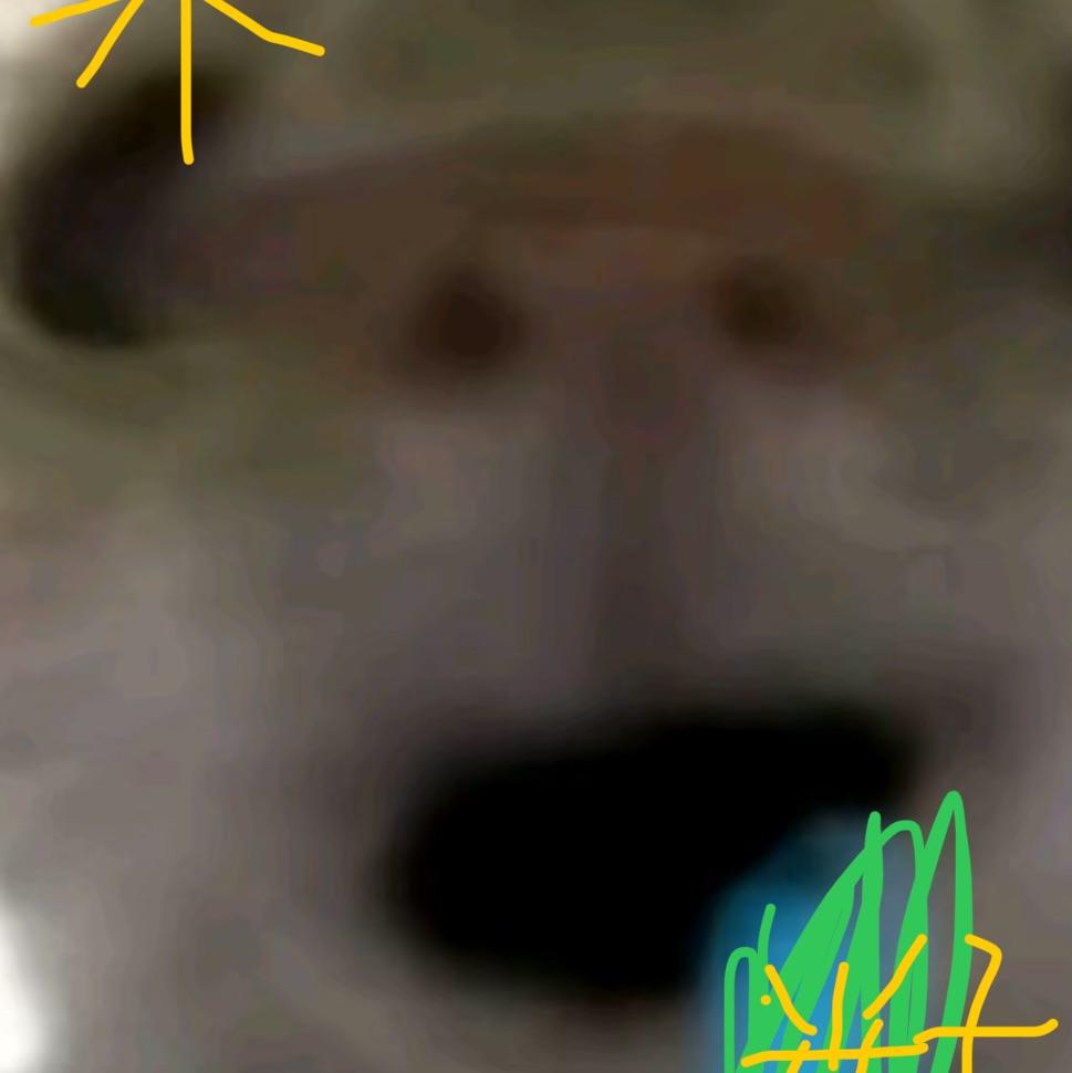 呆呆ⁿ