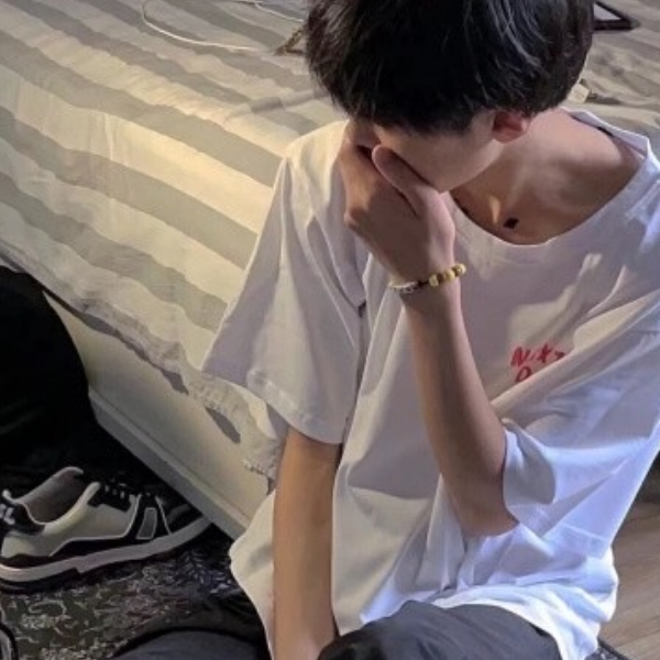han se r