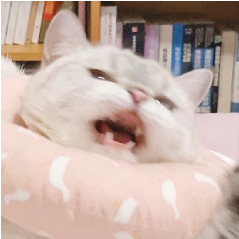 唉呀躁躁