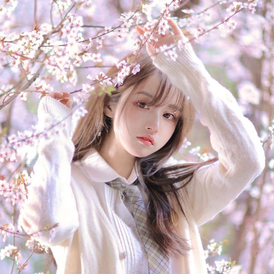 ～梦：中的梦*