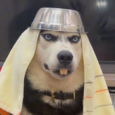 唔大笑