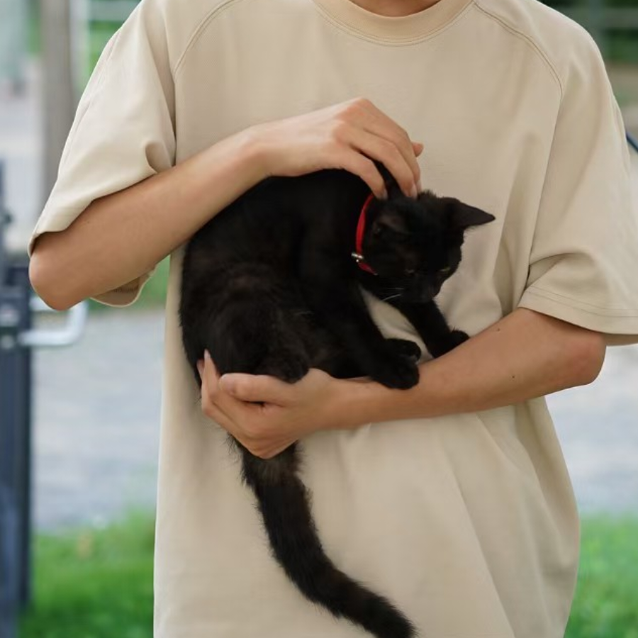 谷壹