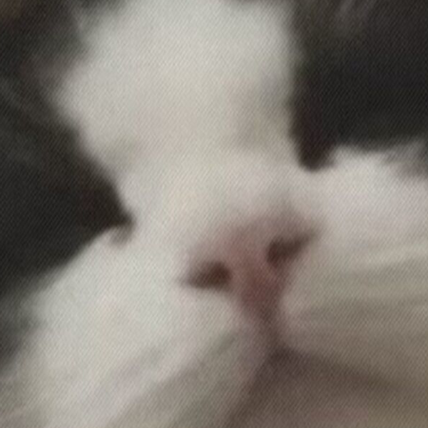 想念