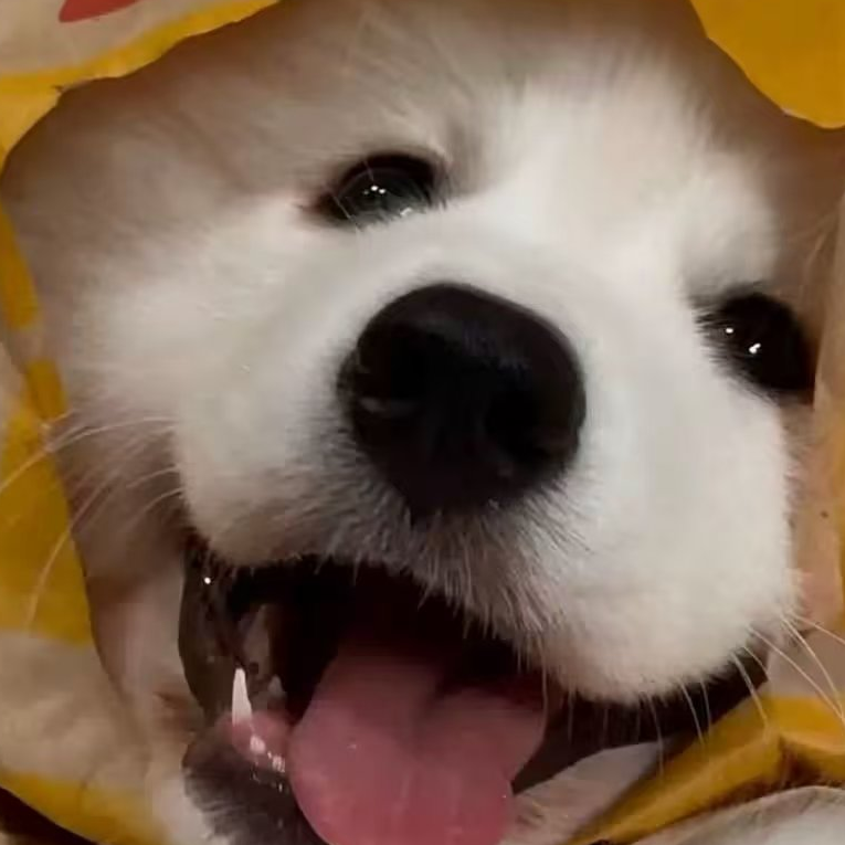 单走一个6