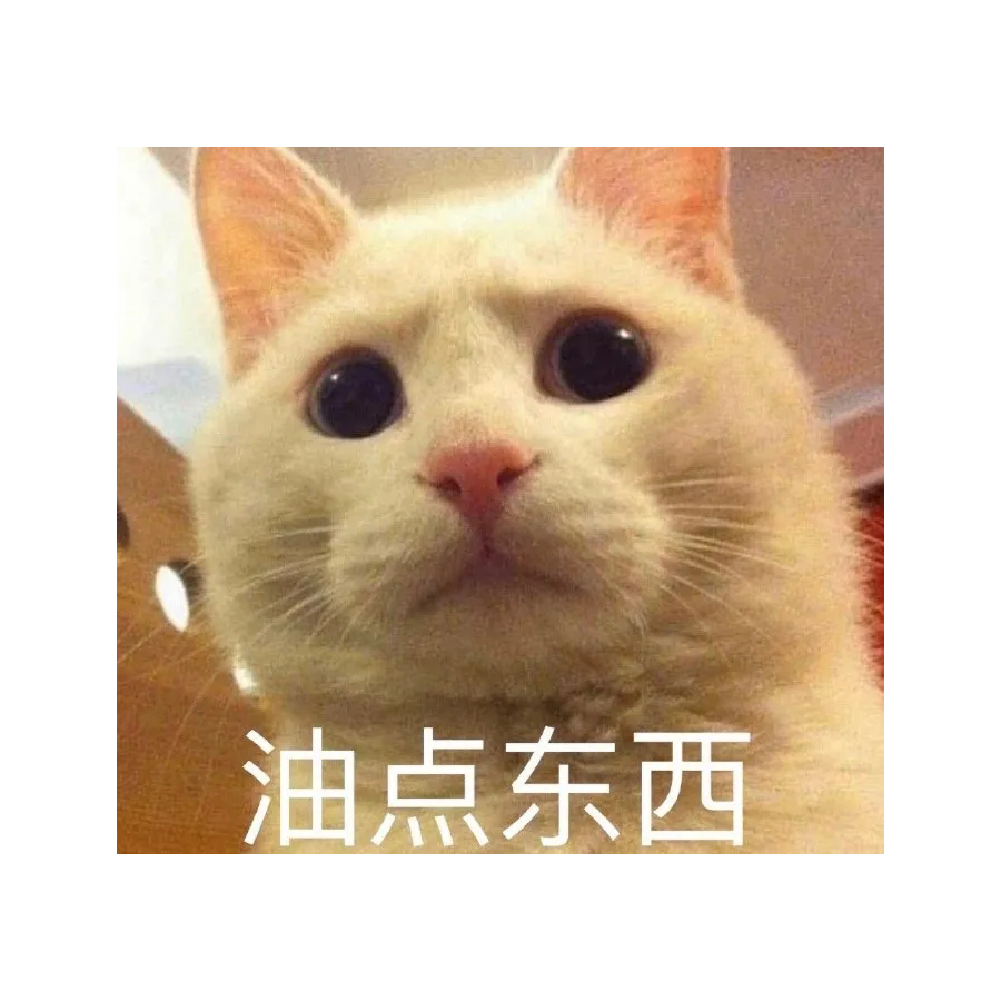 我叫小鸡腿🍗