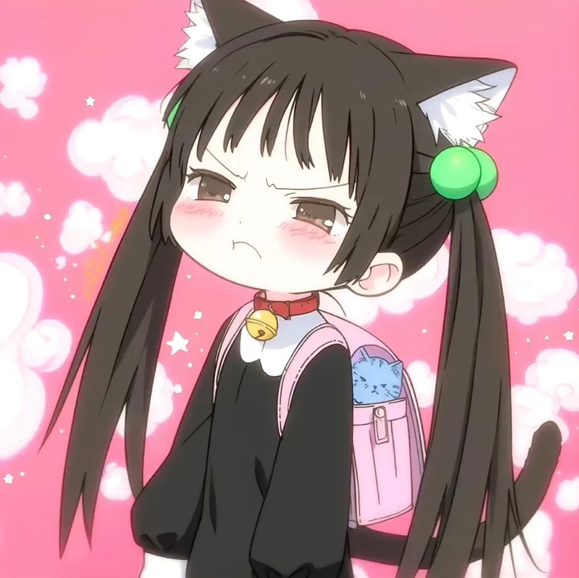 猫猫痛