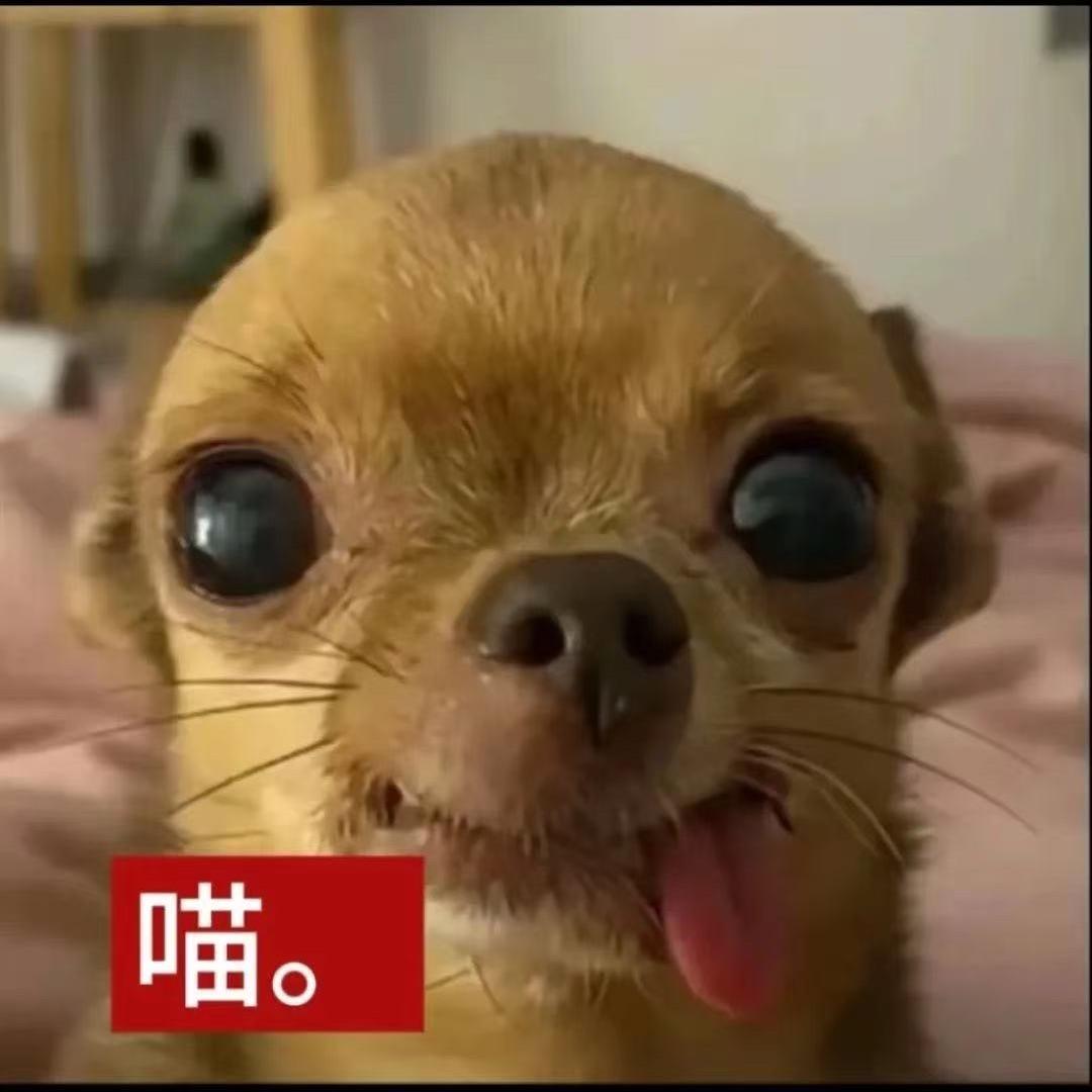 YANGYEUN