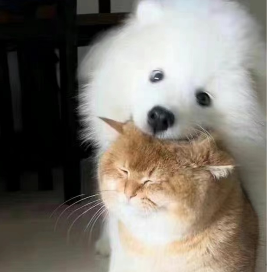 hoo