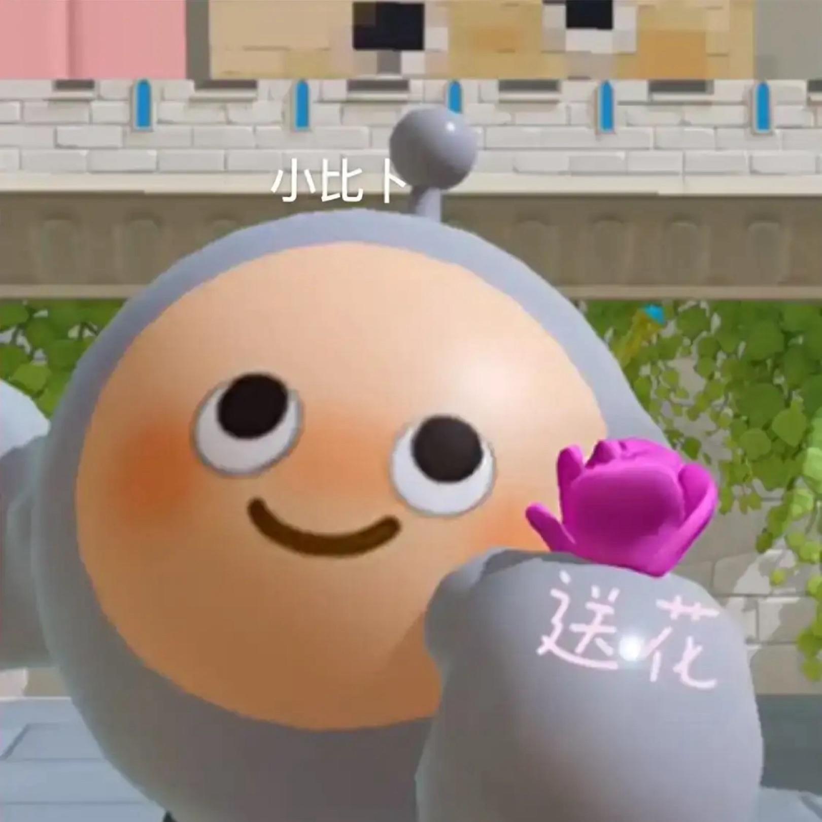 我是小比萝卜呀