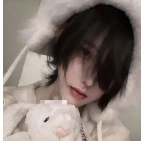 爵士豪猫