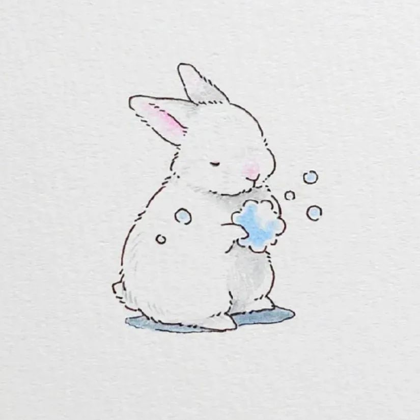 月亮🌙