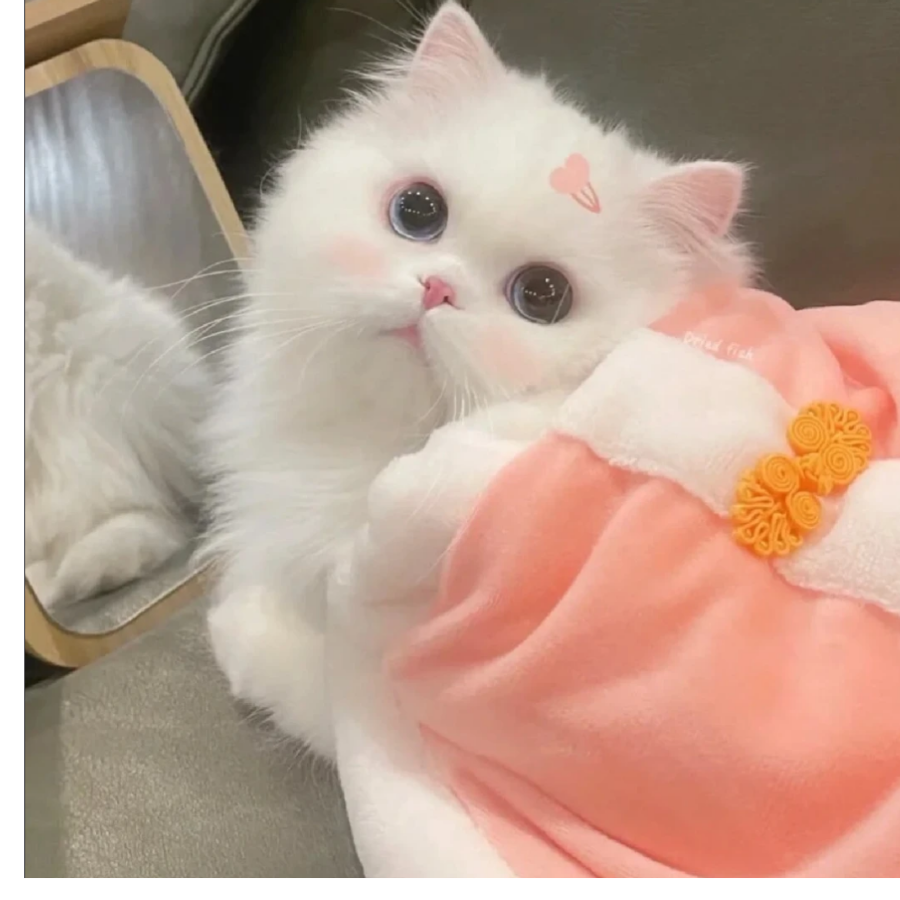 辞