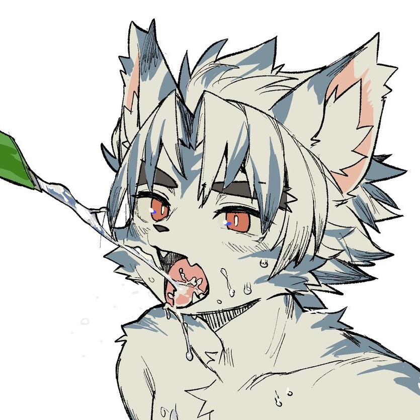 Cola不是鸽子呀