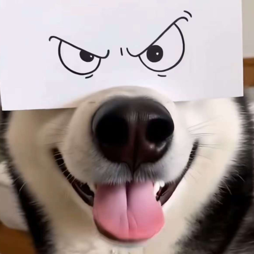 哈撒给