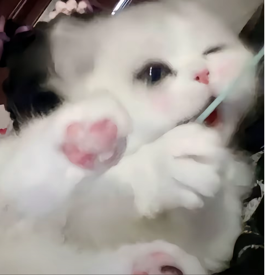 九念