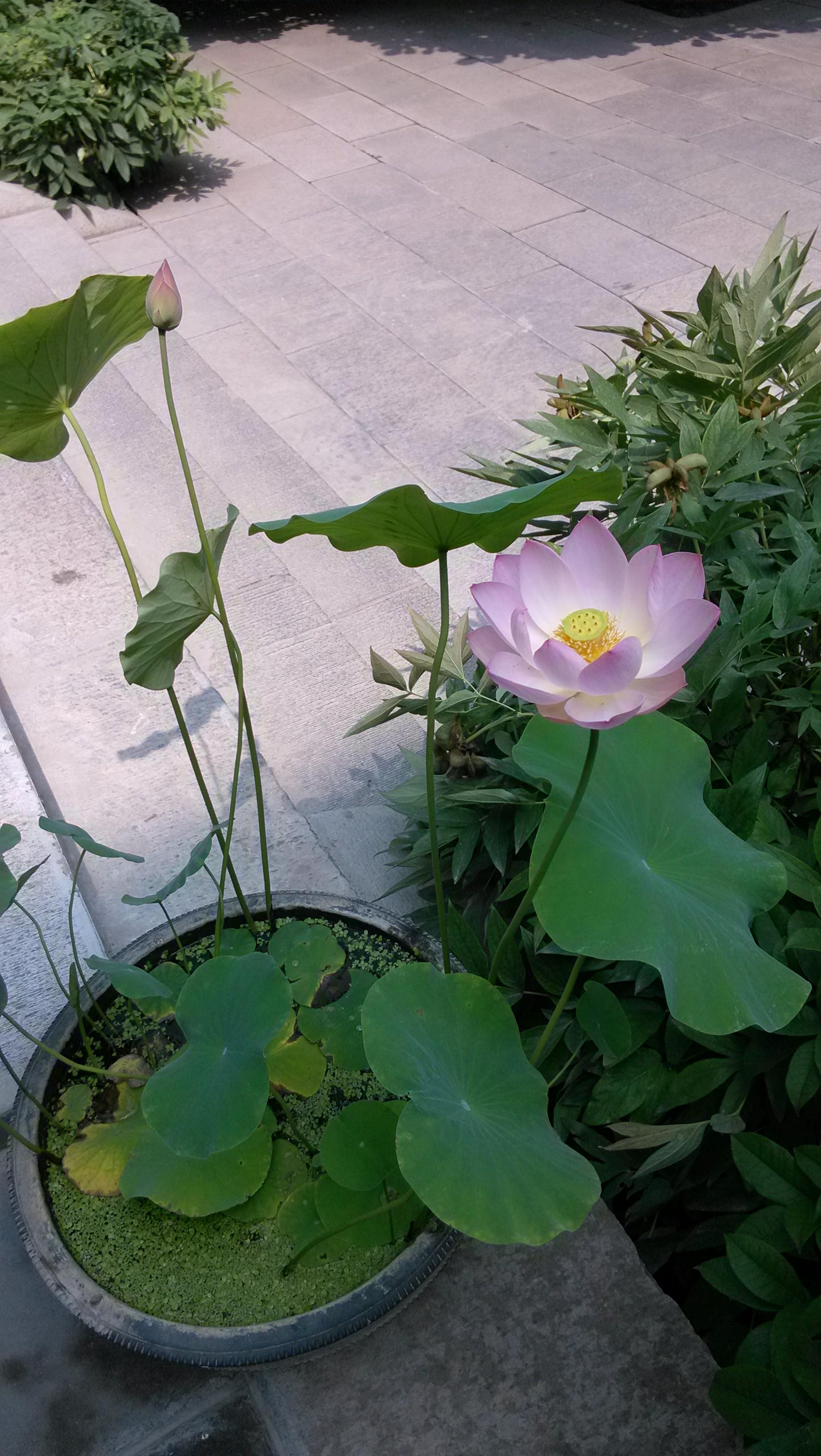 聚光灯-方外工作室