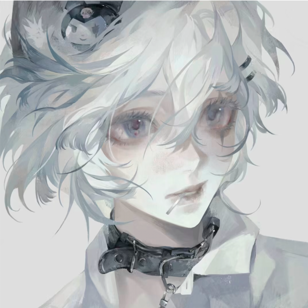 滤芯