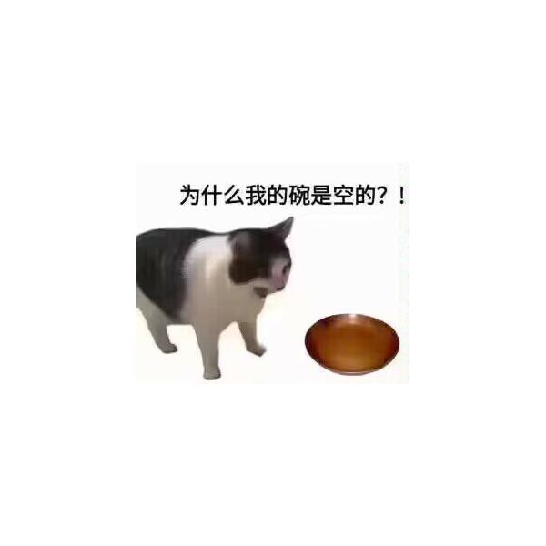 一条咸鱼