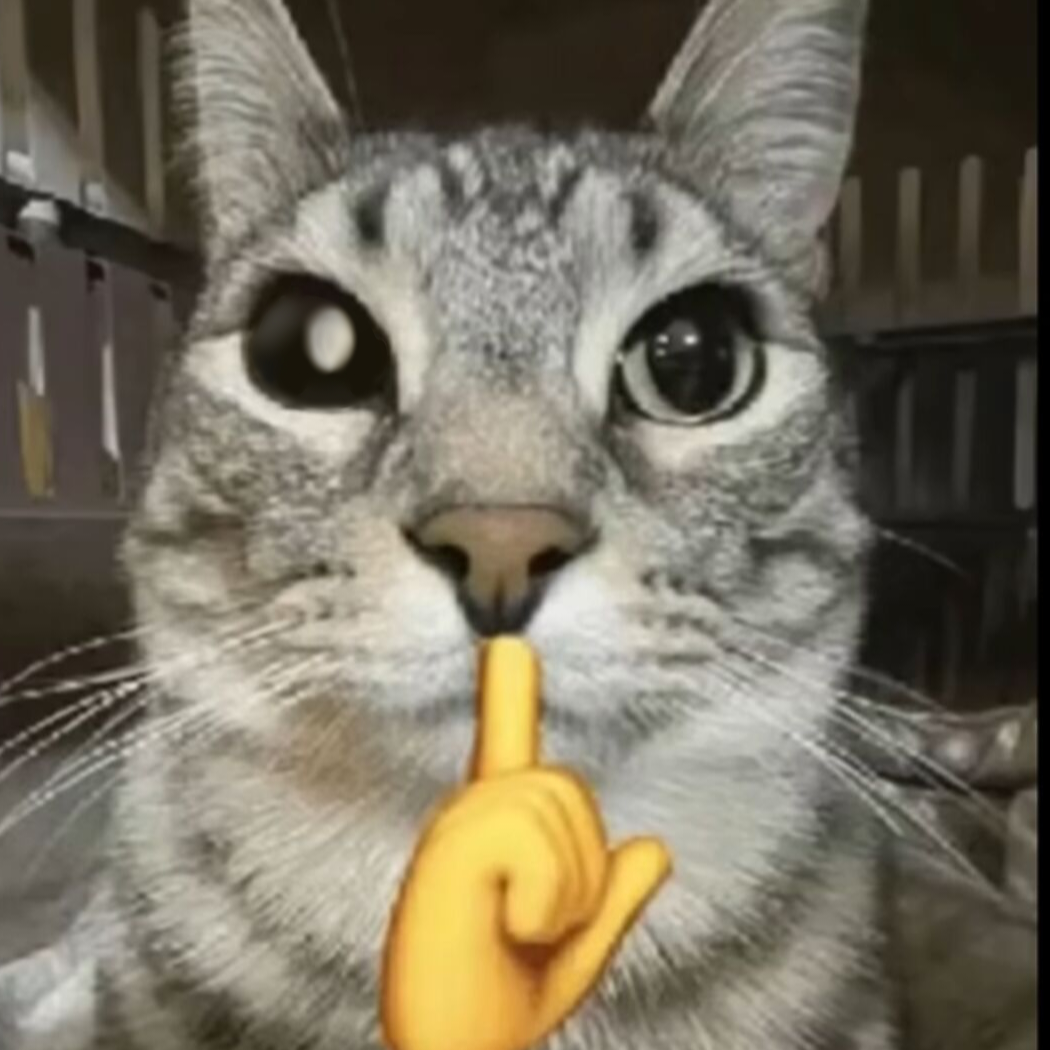 乖苍tv之sssr绝世基米
