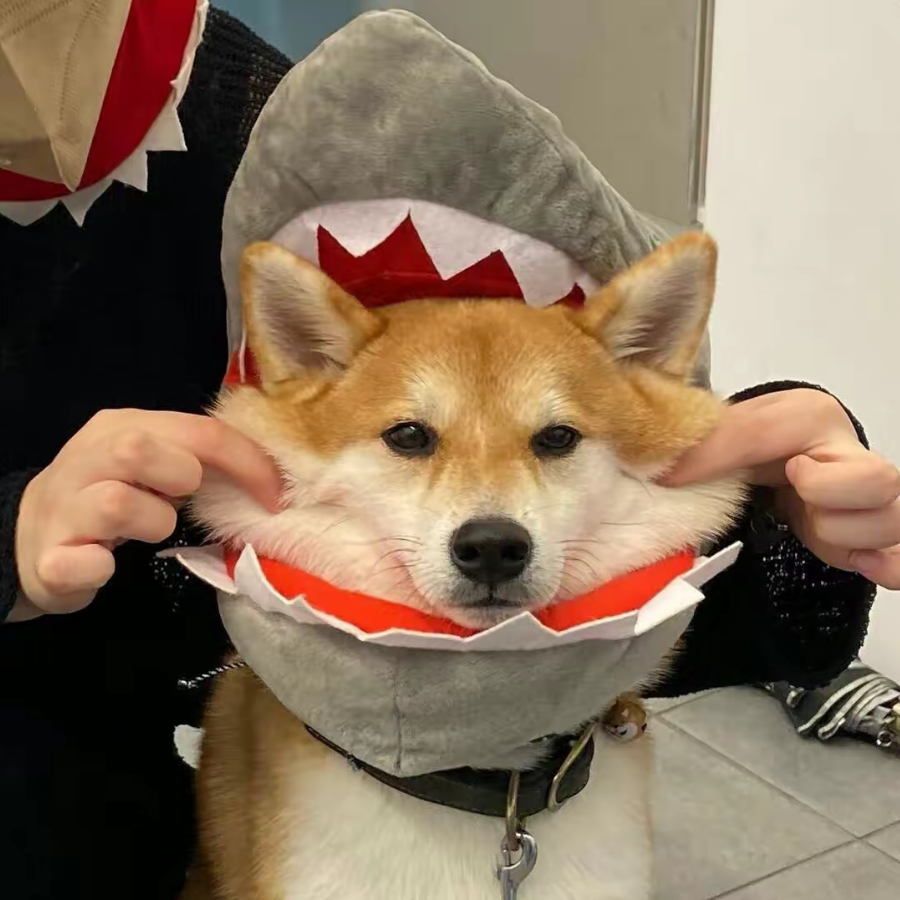 啊哈