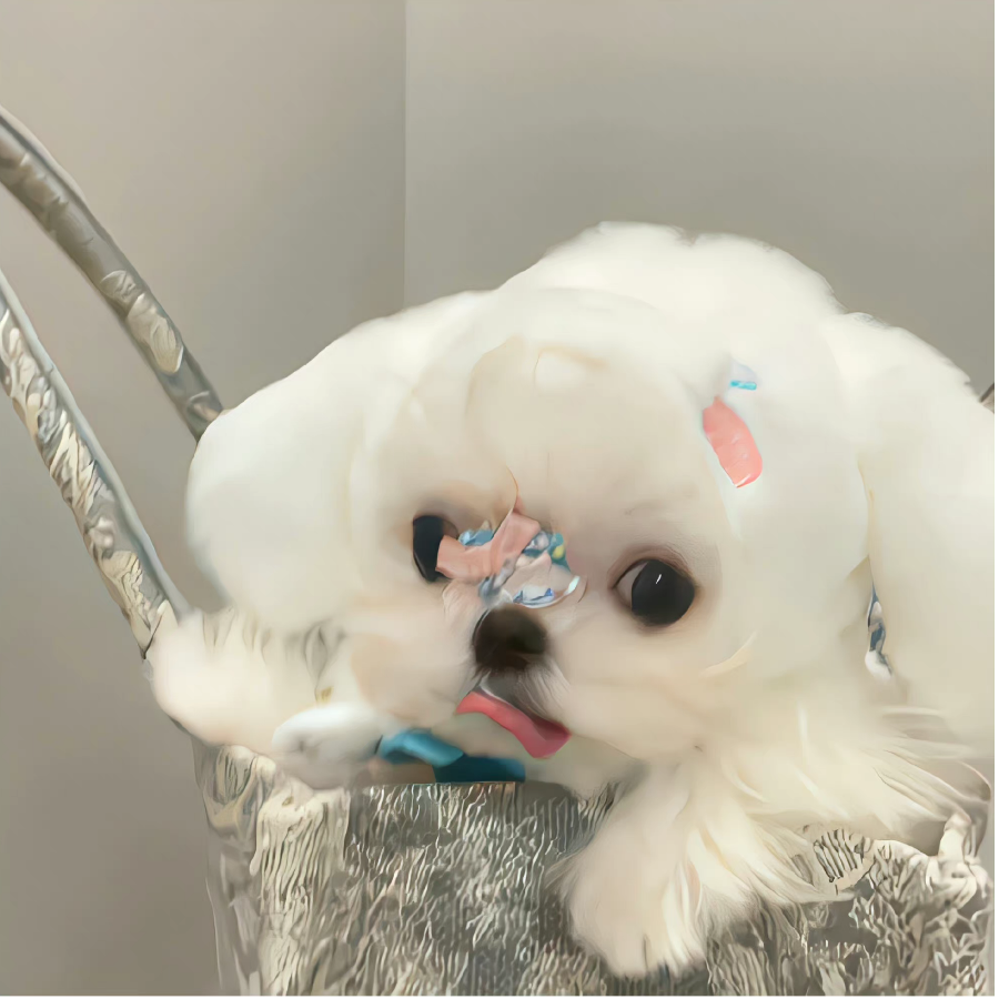 一个呆呆的小不点